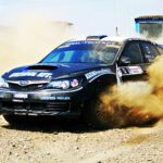 Ioana Clonța - SC AUTOZOLI SRL